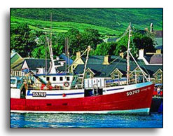Dingle Harbour